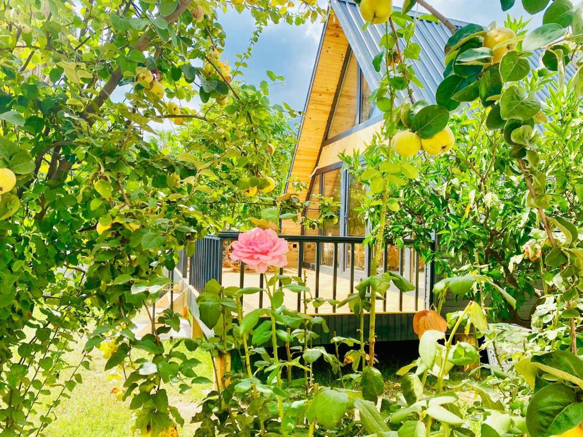 Garden Bungalow Antalya Kültér fotó